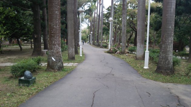 台南公園内の散策路の一つ